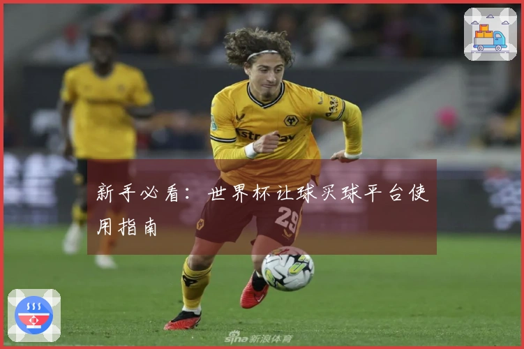 新手必看：世界杯让球买球平台使用指南