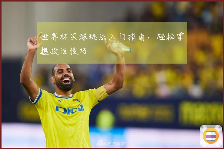 世界杯买球玩法入门指南，轻松掌握投注技巧