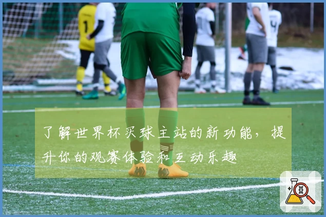 了解世界杯买球主站的新功能,提升你的观赛体验和互动乐趣