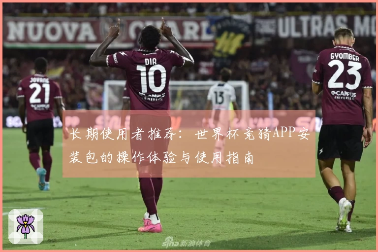 长期使用者推荐：世界杯竞猜APP安装包的操作体验与使用指南