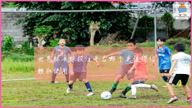 世界杯滚球投注平台哪个更值得信赖和使用