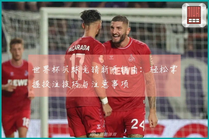 世界杯买球竞猜新手指南：轻松掌握投注技巧与注意事项