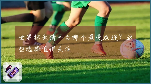 世界杯竞猜平台哪个最受欢迎？这些选择值得关注