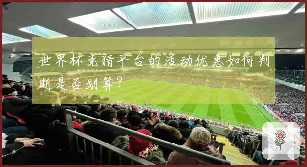 世界杯竞猜平台的活动优惠如何判断是否划算？