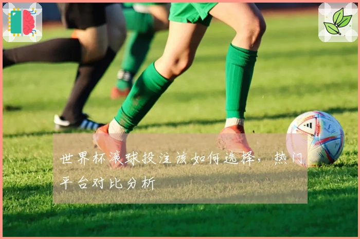 世界杯滚球投注该如何选择，热门平台对比分析