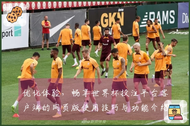 优化体验，畅享世界杯投注平台客户端的网页版使用技巧与功能介绍