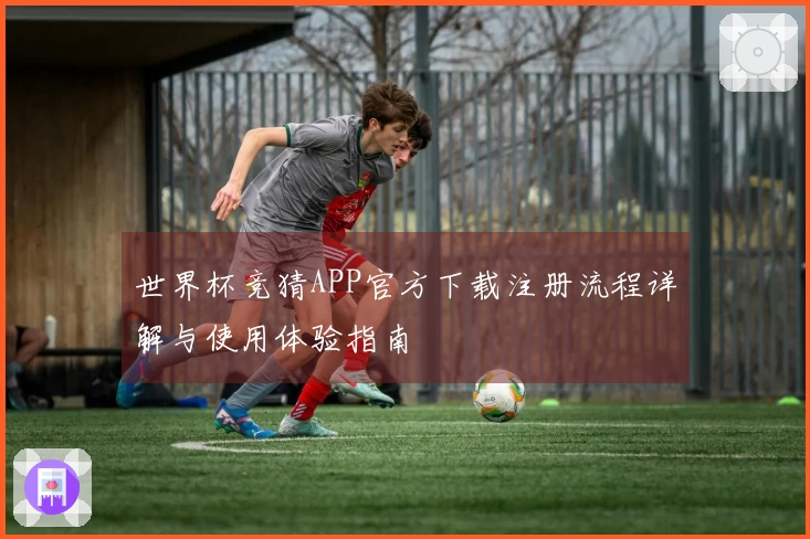 世界杯竞猜APP官方下载注册流程详解与使用体验指南