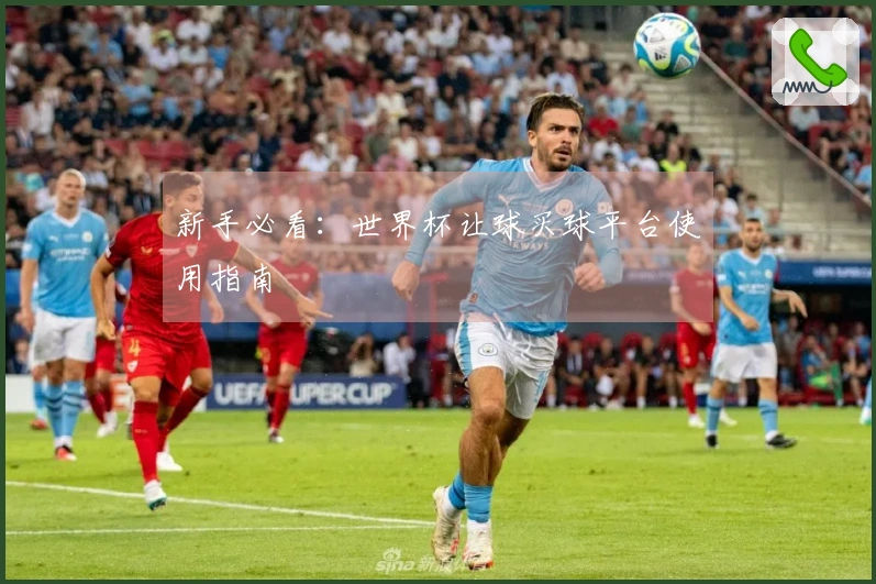 新手必看：世界杯让球买球平台使用指南