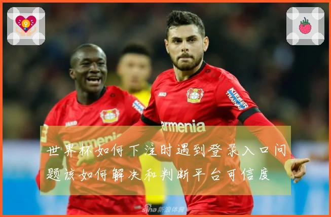 世界杯如何下注时遇到登录入口问题该如何解决和判断平台可信度