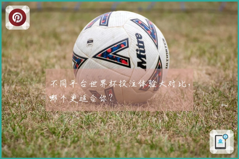 不同平台世界杯投注体验大对比，哪个更适合你？