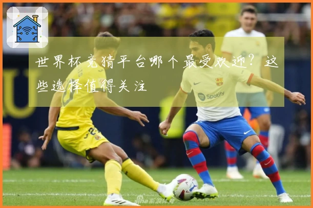 世界杯竞猜平台哪个最受欢迎？这些选择值得关注