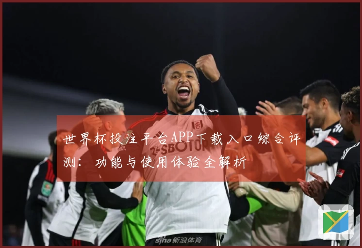 世界杯投注平台APP下载入口综合评测：功能与使用体验全解析